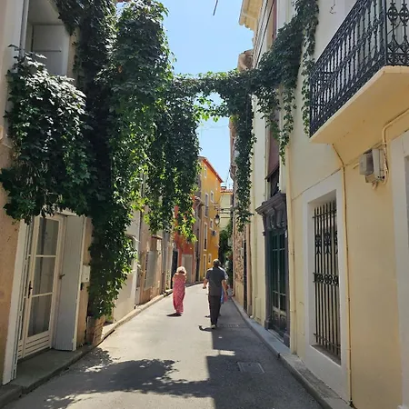 Maison De Dans Le Coeur Historique De Avec Clim Et Terrasse Couverte * Marseillan (Herault)